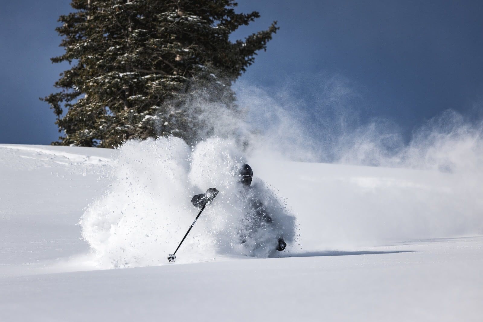 Skiing a powder line through the trees